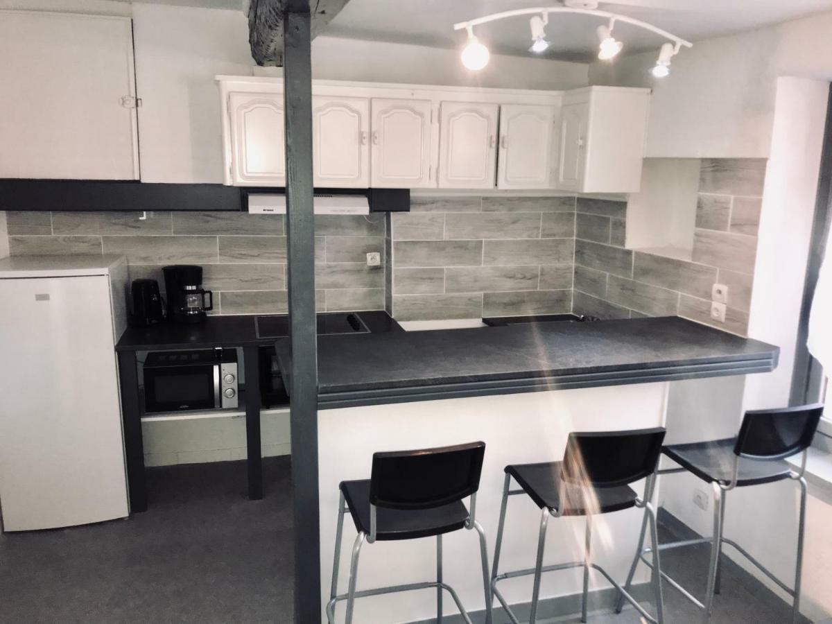 Appartement Proche Cite Medievale 4 Pers Carcassonne Dış mekan fotoğraf