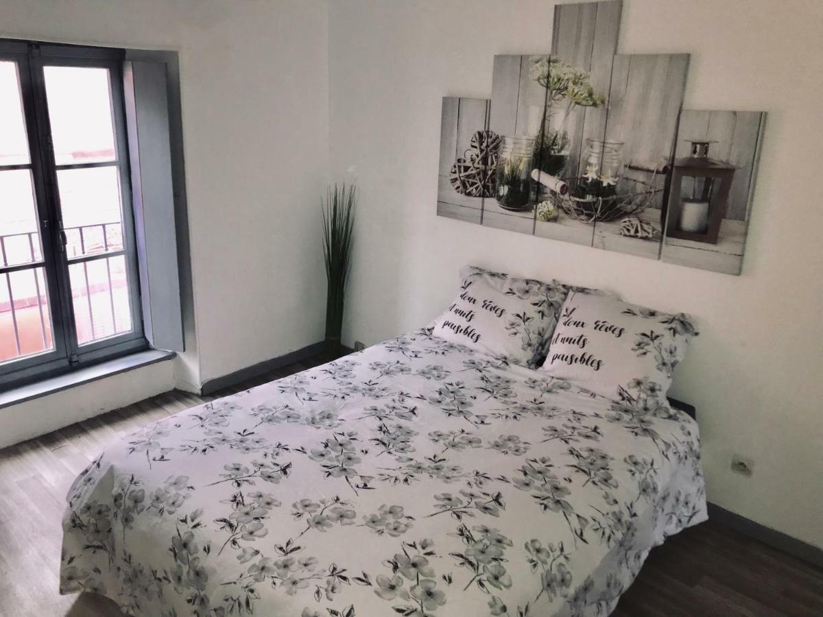 Appartement Proche Cite Medievale 4 Pers Carcassonne Dış mekan fotoğraf